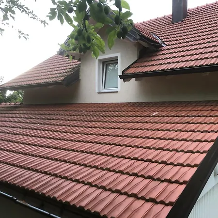 Oaza Mira Willa Kobiljaca